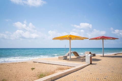 Apartment, Patio, Beach View | Interior