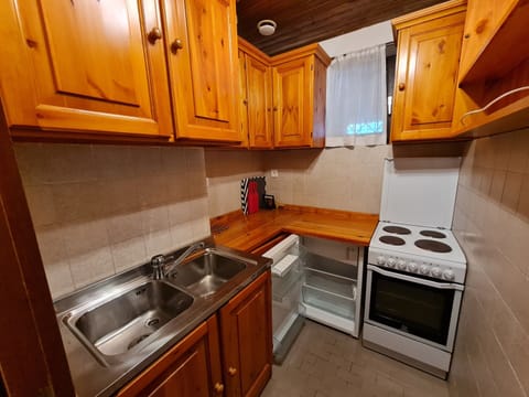 Apartment | Private kitchen | Fridge, oven, electric kettle, cookware/dishes/utensils