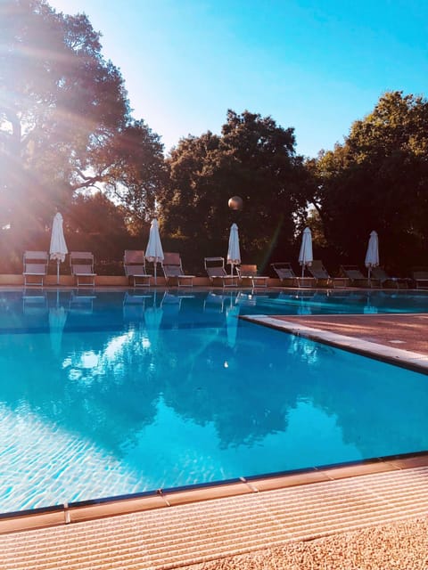 Seasonal outdoor pool, open 9:30 AM to 7:00 PM, pool umbrellas