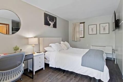 5f2aad86 cfbc 48bd 97fc 1e6609c243a2