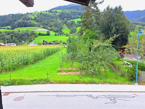 Green, Mountainous Landforms, Grass, Hill, Landscape, Rural Area, Land Lot, Plain, Hill Station, Mountain Range