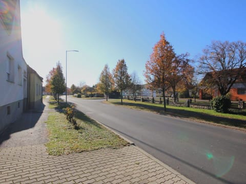 Tree, Leaf, Road Surface, Branch, Road, Residential Area, Asphalt, Street, Public Space, Sidewalk
