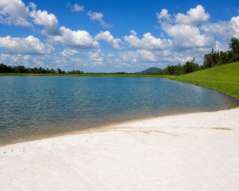 Community 5 acre stocked lake