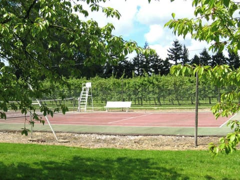 Sport court