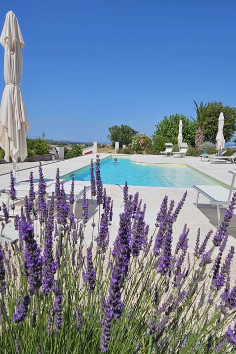Villa | Pool | Outdoor pool