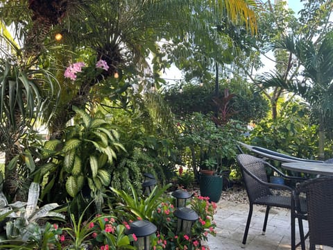  Cozy  and peaceful garden perfect for relaxing perfect for unwind.