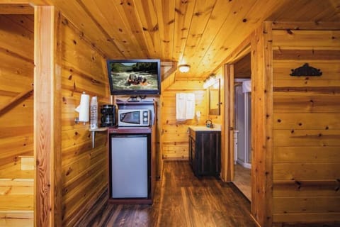 Loft Style Sportsman Cabin 3 Beds | Living area | 47-inch Smart TV with satellite channels