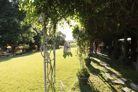 Briarwood Cottage Backyard