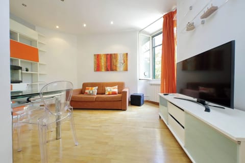 Flat-screen TV