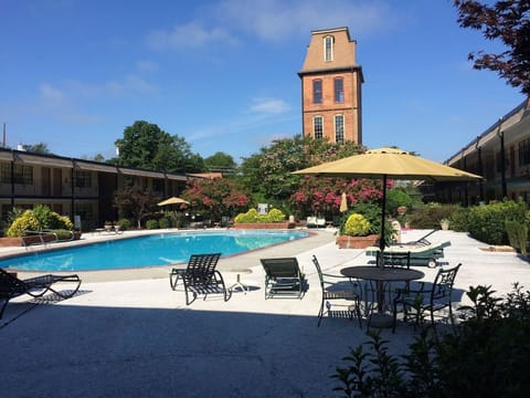 Relax poolside in the beautiful courtyard!