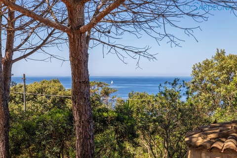 ClickSardegna Villa Julia ad Alghero, vista mare per 6 persone con piscina 
