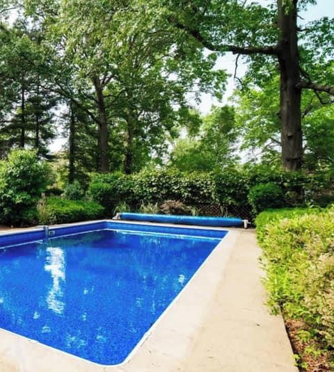 Enjoy your private backyard oasis 🏊‍♂️🌿 Surrounded by lush greenery, this pool is perfect for relaxing swims and sunny afternoons. 