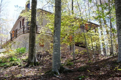 La casa