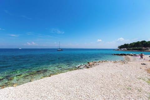 Shared Dormitory, 1 Bedroom, Smoking, Patio | Beach