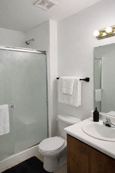 Bathroom 1 (Downstairs)