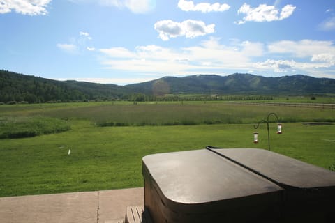 Back deck view with jacuzzi