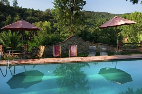 Holiday Home Swimming Pool