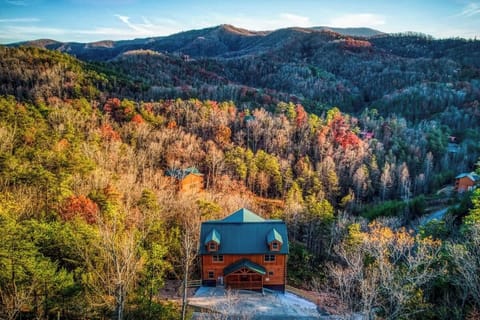 A stunning aerial view of your Smoky Mountain retreat, surrounded by lush trees and natural beauty.