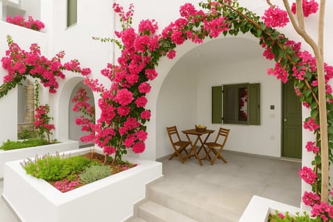 Private Patio – Bougainvillea-Framed Entrance
A beautiful shaded area perfect for relaxing outdoors in island style.