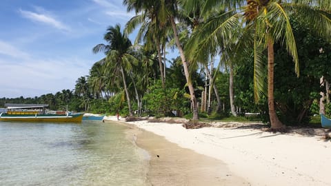 Beach nearby, white sand
