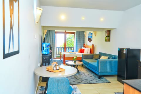 Entrance view of the apartment