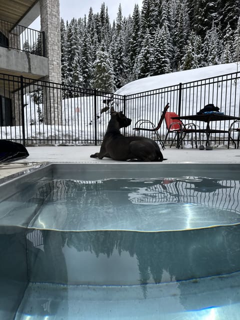 Hot Tub off of ski run/1st Floor (no jets)
