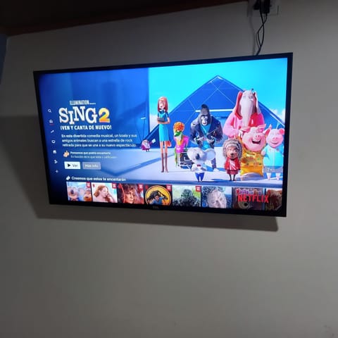 Television