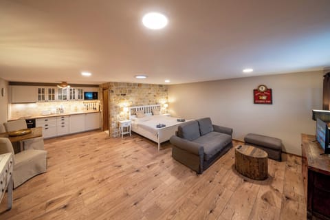 Living bedroom with kitchenette