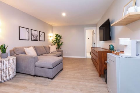 Second bedroom with sleeper sofa