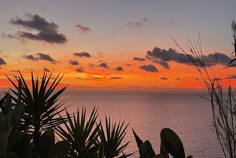 Il Polpetto Apartment Apartment in Capoliveri