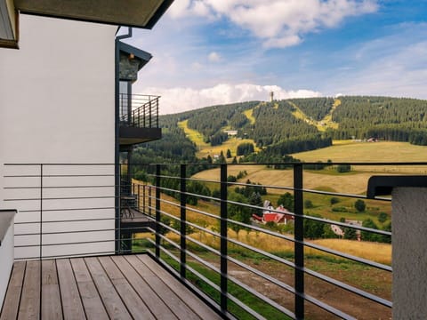 Handrail, Balcony, Apartment, Hardwood, Stairs, Daylighting, Fence, Villa