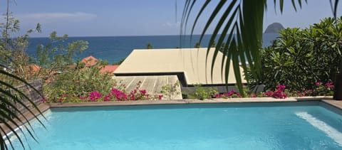 Villa escale Diamant - piscine 2