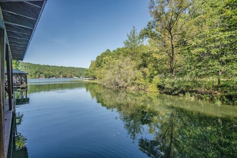 Image1