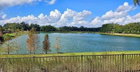 View from the Back Patio