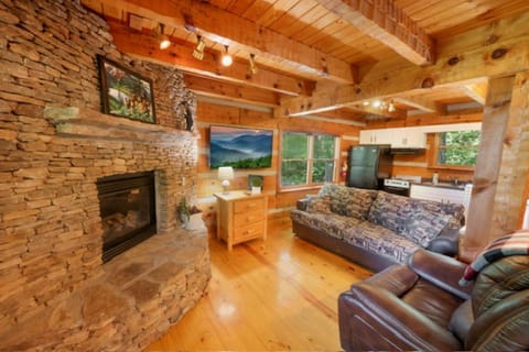 Cozy living room with fireplace, TV and fold out couch.