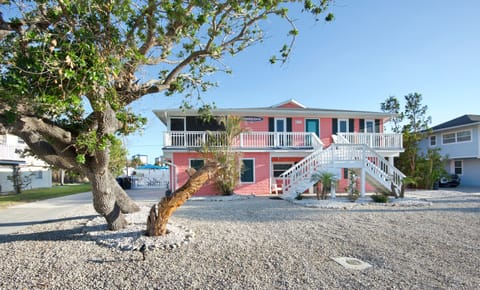 Welcome to Coral Cove!
