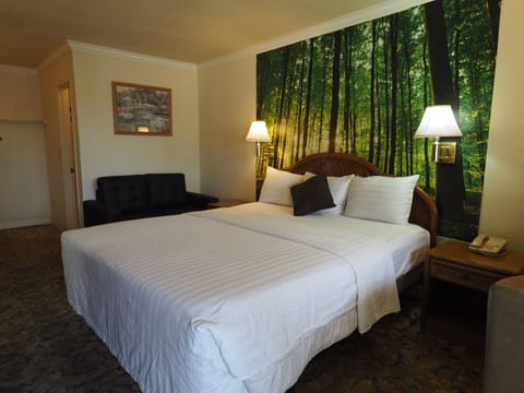 Room, Non Smoking | Free WiFi