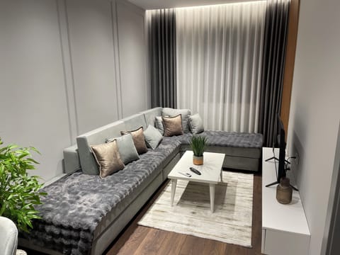 Apartment | Living area | 43-inch Smart TV with digital channels