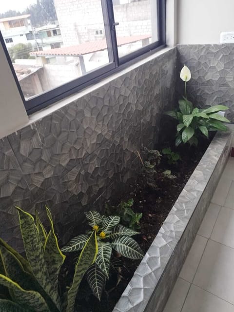 Classic Room, City View | Garden view