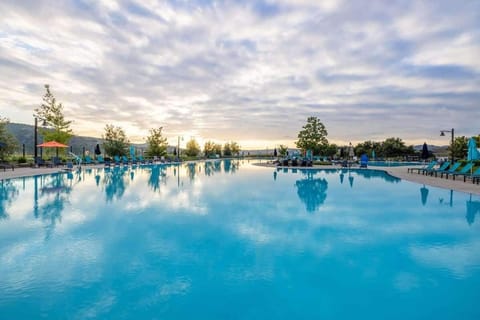Outdoor pool, pool umbrellas, sun loungers