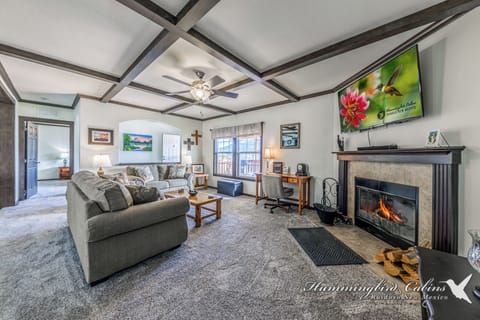 Living room with wood burning fireplace