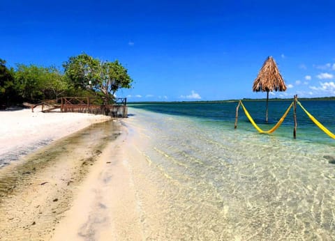 Private beach, white sand, beach shuttle, sun loungers
