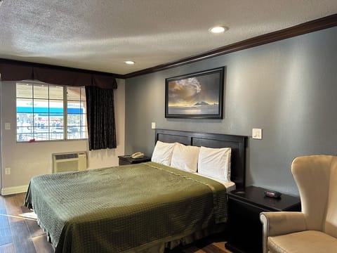 Standard Single Room, 1 King Bed, Non Smoking | Desk, laptop workspace, blackout drapes, iron/ironing board