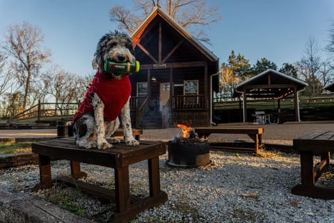 Be sure to bring your pups!