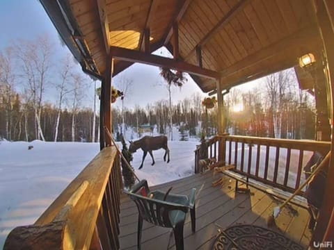 Wildlife right out your door. We only Host one group at a time at The Lodge. 
