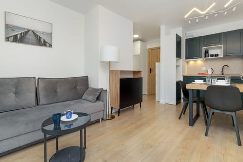 Comfort Apartment | Living room | 50-inch Smart TV with cable channels