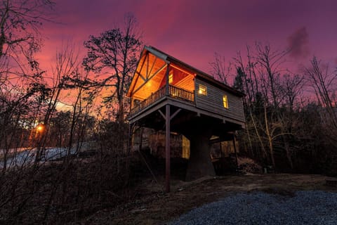 Knock on Wood Treehouse at night is one of the best experiences guests shared. 