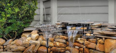 Beautiful pond with fountains