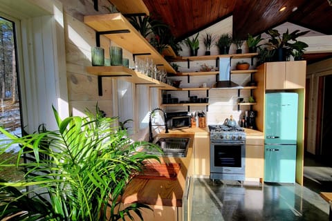 The kitchen is both stylish and functional...high output gas range!