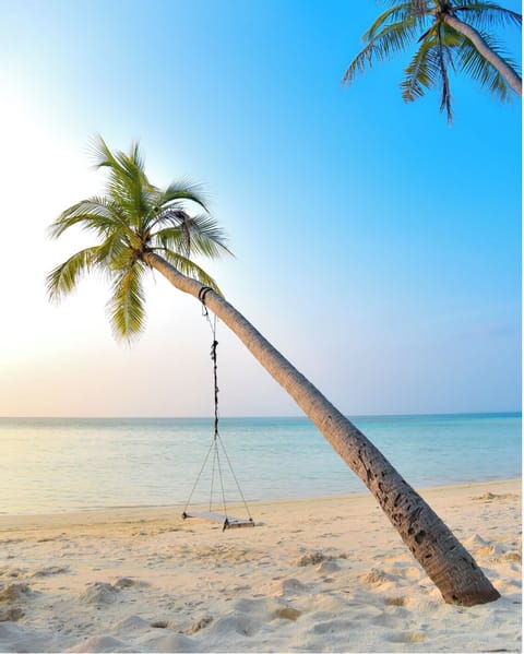 Beautiful Beach across the street!